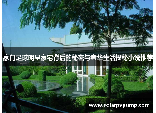 豪门足球明星豪宅背后的秘密与奢华生活揭秘小说推荐