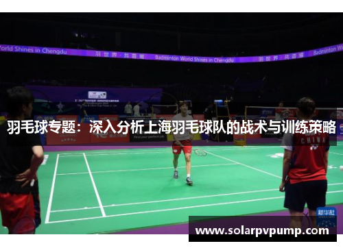 羽毛球专题：深入分析上海羽毛球队的战术与训练策略