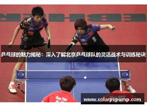 乒乓球的魅力揭秘：深入了解北京乒乓球队的灵活战术与训练秘诀