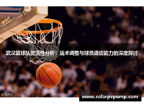 武汉篮球队灵活性分析：战术调整与球员适应能力的深度探讨