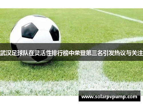 武汉足球队在灵活性排行榜中荣登第三名引发热议与关注