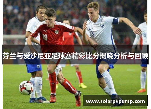 芬兰与爱沙尼亚足球赛精彩比分揭晓分析与回顾
