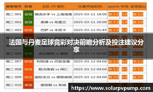 法国与丹麦足球竞彩对决前瞻分析及投注建议分享